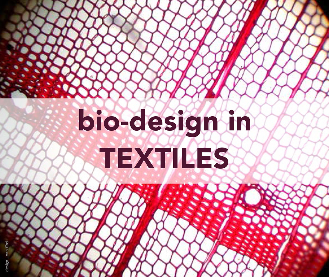 Biodesign in Textiles, Rijksmuseum Volkenkunde Leiden, NL