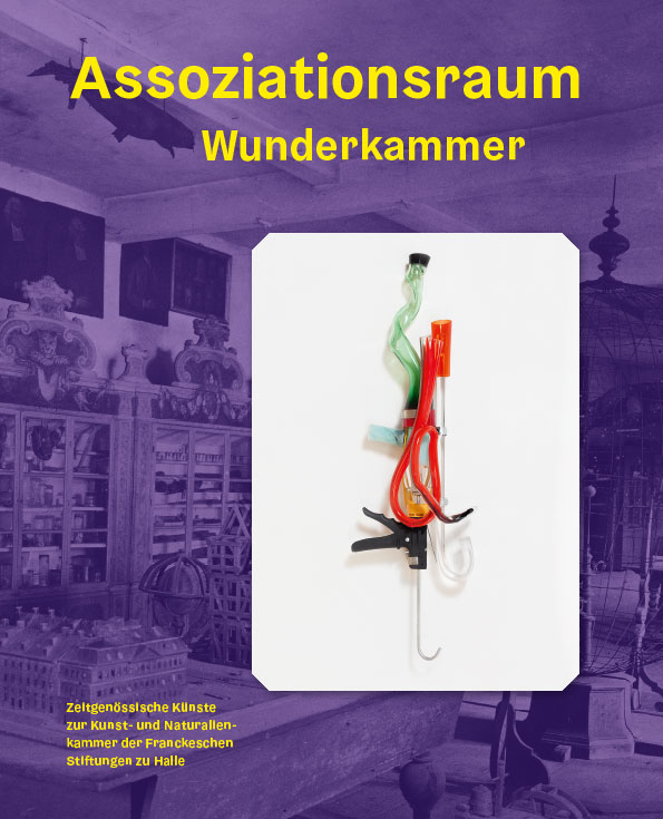 Assoziationsraum Wunderkammer